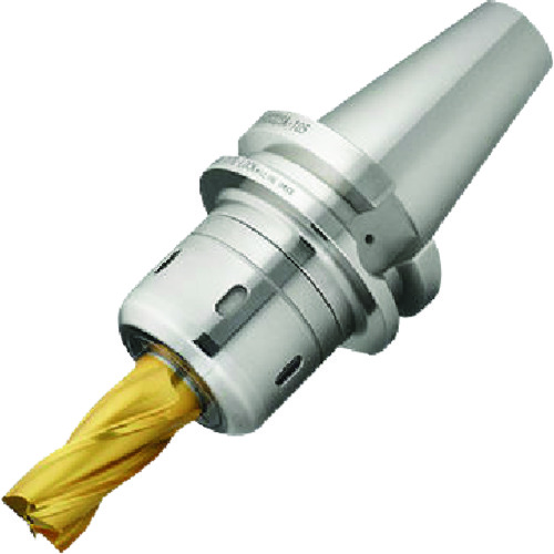 nt超紧锁铣削Chuck草直径25mm，突出长度90mm BT30-CT25SA-90