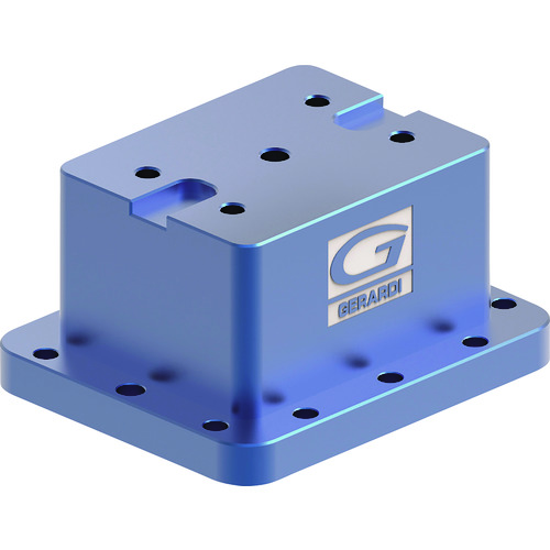 Geraldi紧凑型G T1和2快速更换表立管
alminum立管用于快速更换表 GR661HT1&2XP52