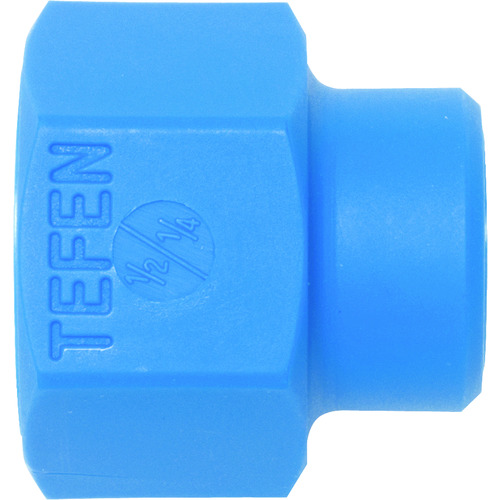 Loc-Line Tefen 1/2&ldquo; -1/4&rdquo;雌螺纹管reeducer x 4 NL50659