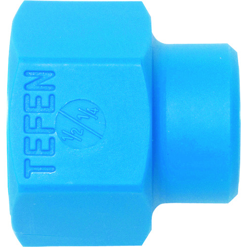 loc-line tefen 1/2&ldquo; -1/4&rdquo;雌性螺纹管Reeducer x 20件 NL51759