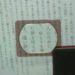Ikeda镜头皮革口袋放大玻璃
带皮革盒3x号的袖珍放大器3130 3130