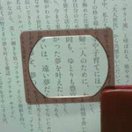 Ikeda镜头皮革口袋放大玻璃
带皮革盒3X号的袖珍放大器3140 3140