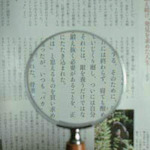 Ikeda镜头手持式2.5倍
75mm带木柄的放大镜 1431
