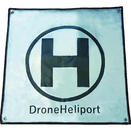  DHP-1000