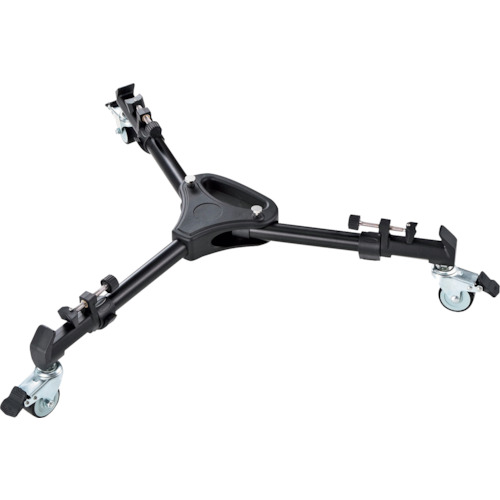  DG-CAM31