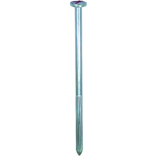 戴上主要指甲（测量指甲）07 9 x 200，带有红色标记（50件）
大型指甲指甲No.07 00008217
