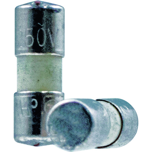 ＣＵＳＴＯＭ　交换用ヒューズ６００ｍＡ（ＣＤＭ―３６用）　２个入　
F    DMF-3606