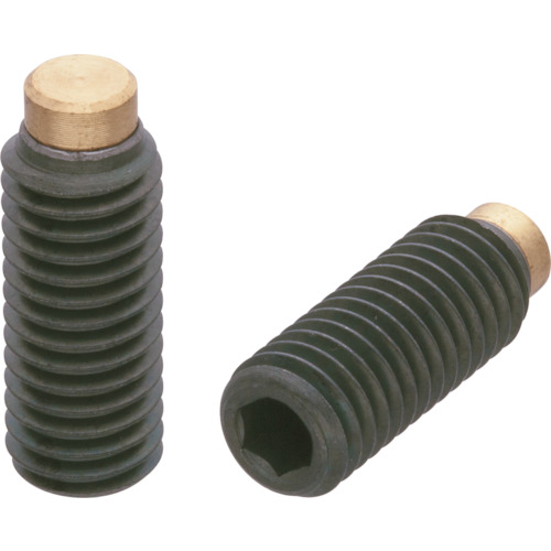 KIPP衬托螺钉 HSSB12X82.5