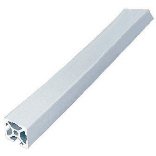 项目Strut Crofile 5 L5-SPH2020N2-3M