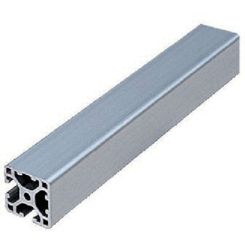 项目Strut Crofile 6轻质类型 L6-SPL3030N2-3M