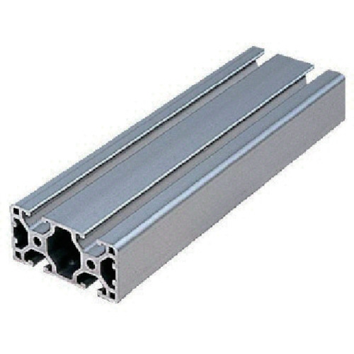 项目Strut Crofile 6轻质类型 L6-SPL6030N2-3M