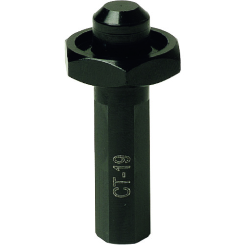  CT-19
