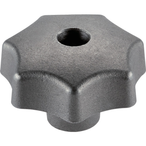 Halder Star Grip DIN6336铸铁形状D
星级握把 24650.0363