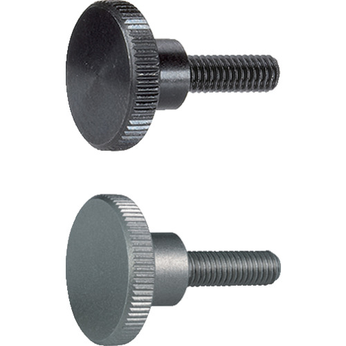 Halder Long Head Nerd Bolt Din 464钢
长头螺栓 24790.0081