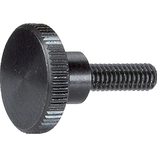 Halder Long Head Nerd Bolt Din 464钢
长头螺栓 24790.0162