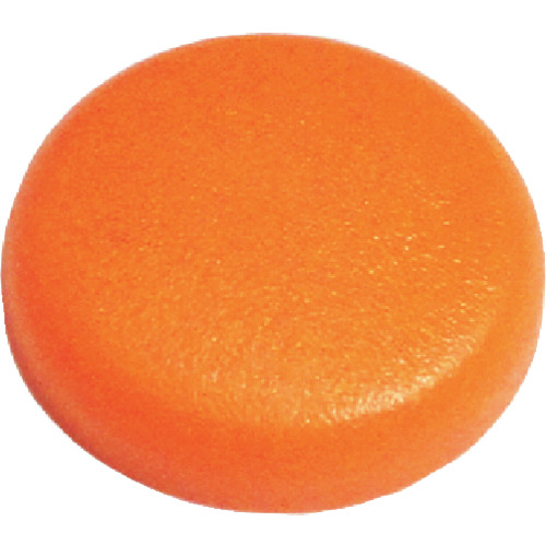 dandrivis dandri W-CAP W742胡萝卜橙色Abox
饼干 C-WCX742-AX