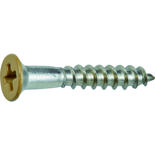 [有限的库存] Trusco不锈钢木螺钉板头M2.4 x 16米色（45件）
彩色不锈钢木头头螺钉 SCWS-2416BE