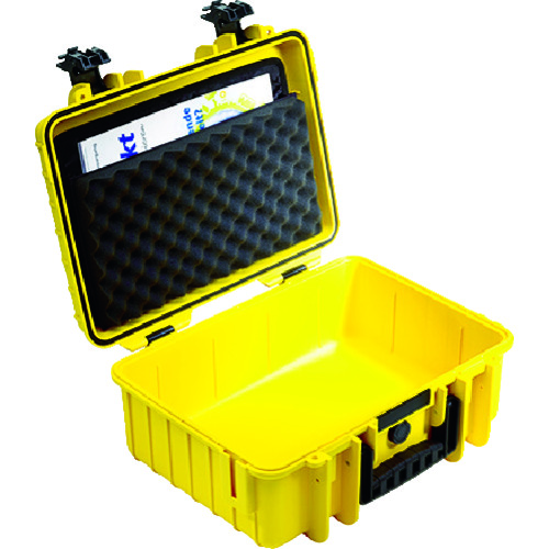 [有限股票] B＆W 1000文件持有人 LP/1000