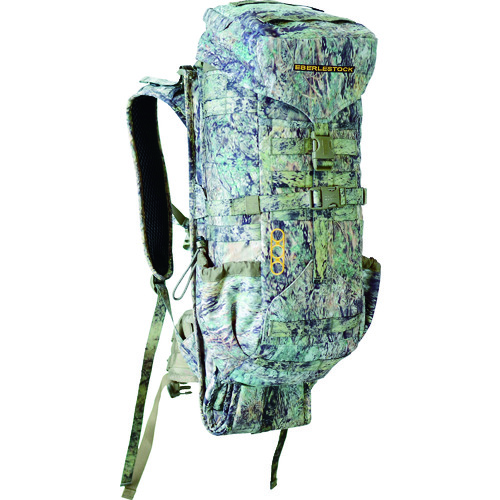 [有限的股票] H2HP