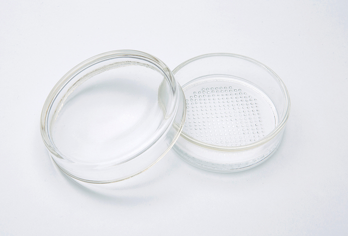 Horiuchi Seisakusho培养皿小G-17/D 69x22mm