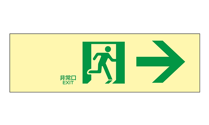 高亮度撤离指南（通道指南）发光LE-1901 100 x 300mm