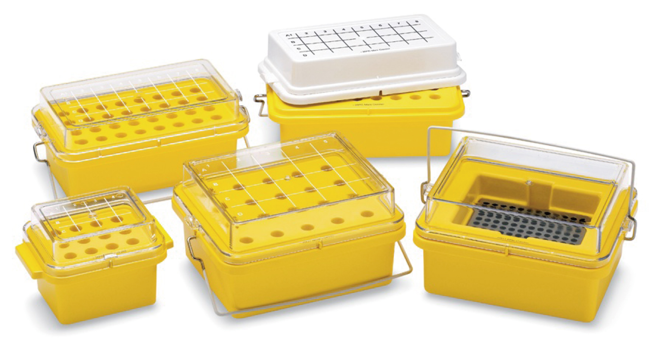 冰冻-20℃迷 冷却器PC，20孔，1.5毫升