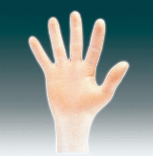 清除握把GN09 L（100张）