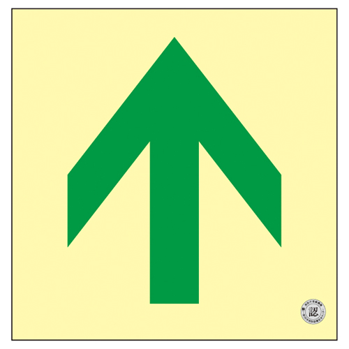 中等亮度发光指南地板地板16 070016