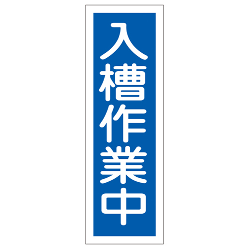 条带GR173 093173的一般迹象