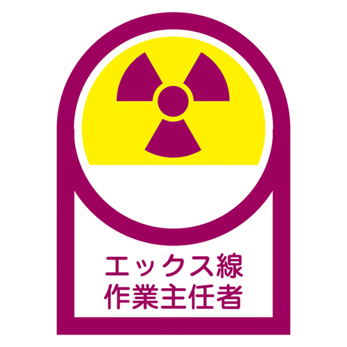 头盔贴纸HL-62 233062