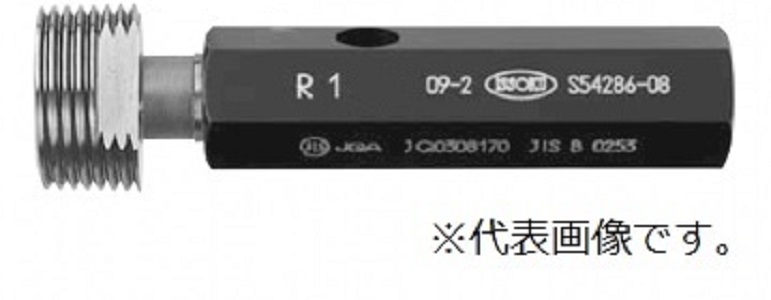 管道锥形螺钉插头RCR-P 3/8