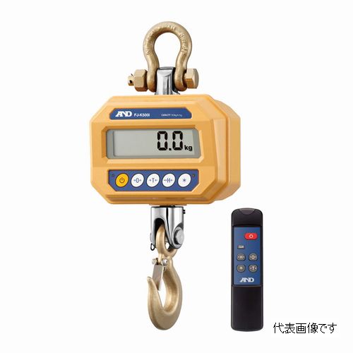 起重机秤FJ-K500I