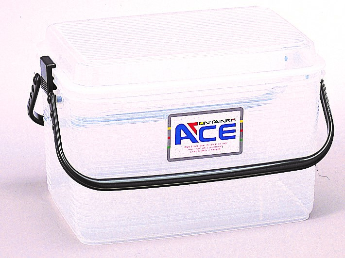 带盖，容器ace的小型输送盒